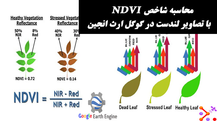 محاسبه شاخص NDVI با تصاویر لندست در گوگل ارث انجین | مدرسه سنجش از دور و جی ای اس