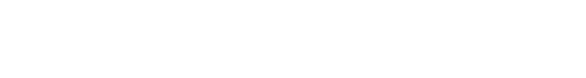 NDISI