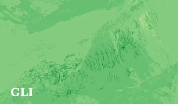 شاخص GLI - شاخص برگ سبز