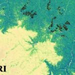 شاخص MCACI - شاخص اصلاح‌ شده جذب کلروفیل برگ