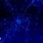 شاخص NHFD - شاخص اختلاف ویژگی‌های غیرهمگن