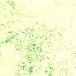 شاخص PVI - شاخص پوشش گیاهی عمود بر خط خاک