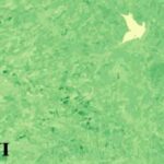 شاخص TNDVI - شاخص تغییر یافته تفاوت پوشش گیاهی
