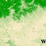 شاخص WDRVI - شاخص پوشش گیاهی با دامنه دینامیکی وسیع