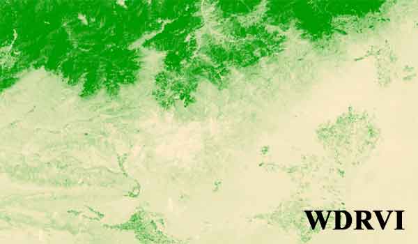 شاخص WDRVI - شاخص پوشش گیاهی با دامنه دینامیکی وسیع